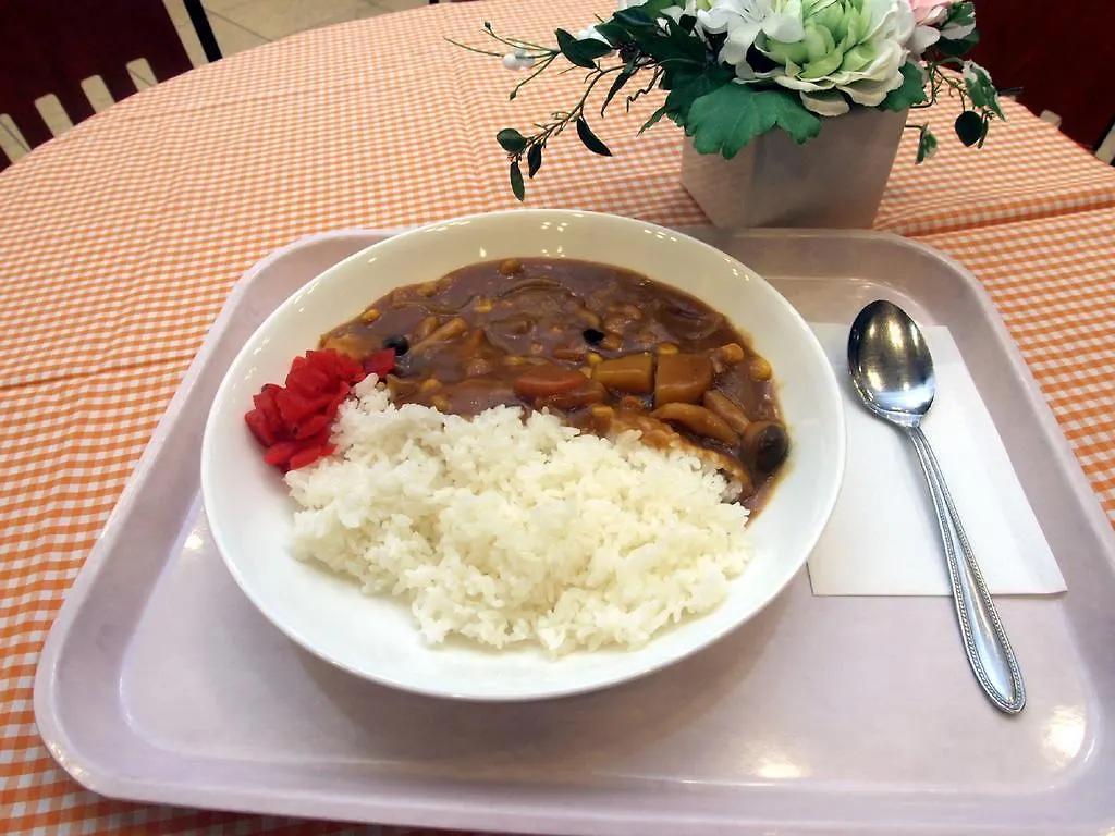 Hotel Toyoko Inn Hokkaido Asahikawa Ekimae Ichijo Dori
